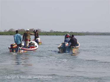 Gambia 05 Ausflug ins Saloum-Delta und zur Insel Ginack,_DSC00880b_B740